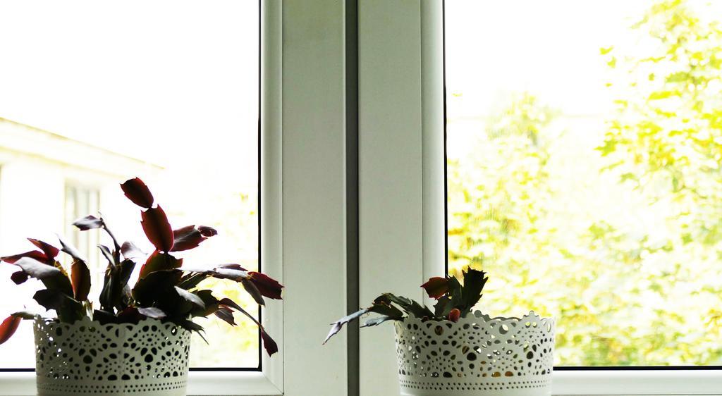 Apartamento Trappelgasse